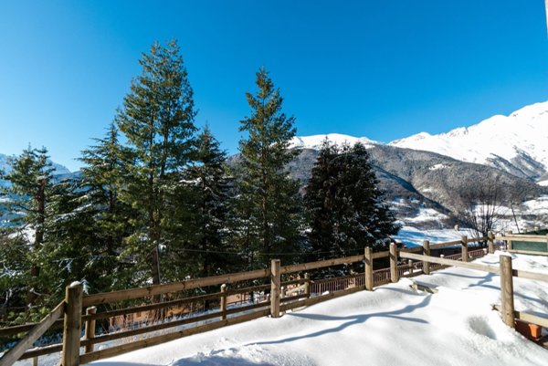 appartamento in vendita a Gandellino in zona Tezzi