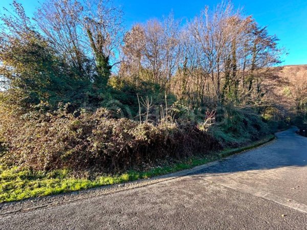 terreno agricolo in vendita a Gaverina Terme