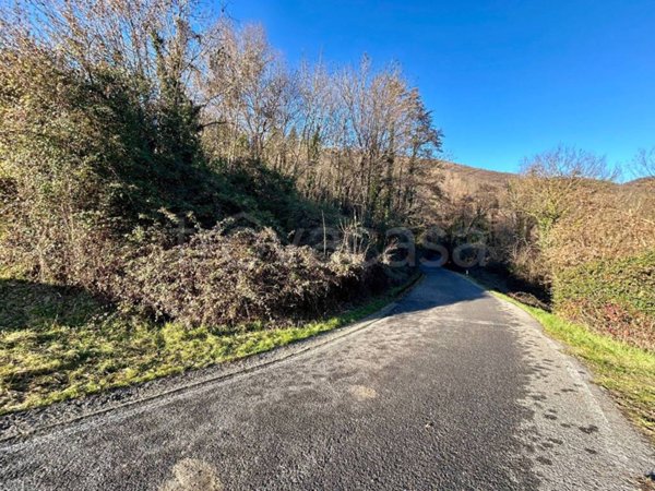 terreno agricolo in vendita a Gaverina Terme