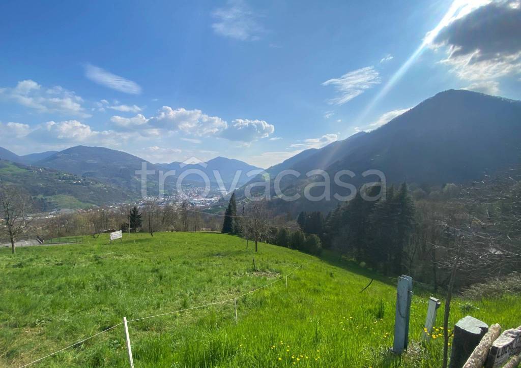 terreno agricolo in vendita a Gazzaniga in zona Orezzo