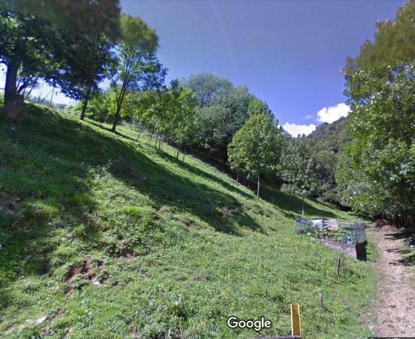 terreno agricolo in vendita a Gazzaniga