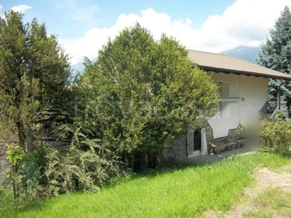 casa indipendente in vendita ad Alpette