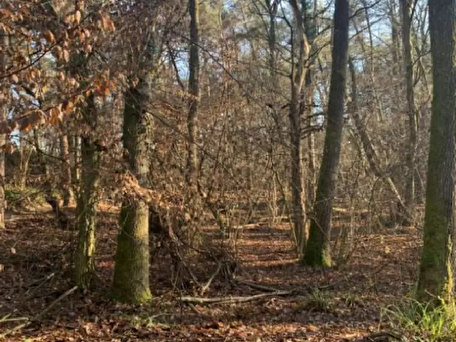 terreno agricolo in vendita a Gorlago