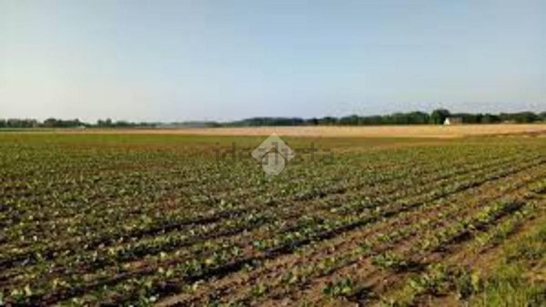 terreno agricolo in vendita a Gorlago