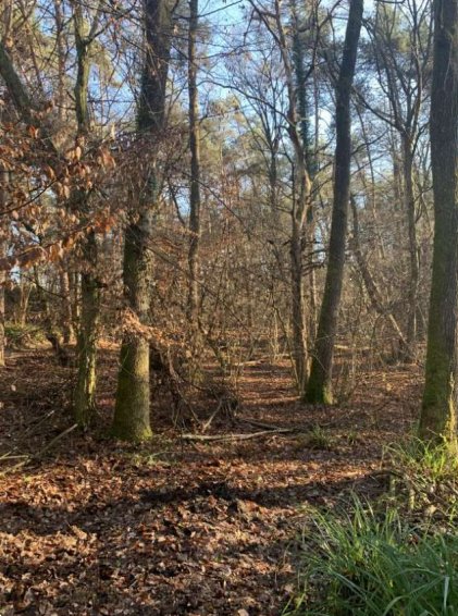 terreno agricolo in vendita a Gorlago