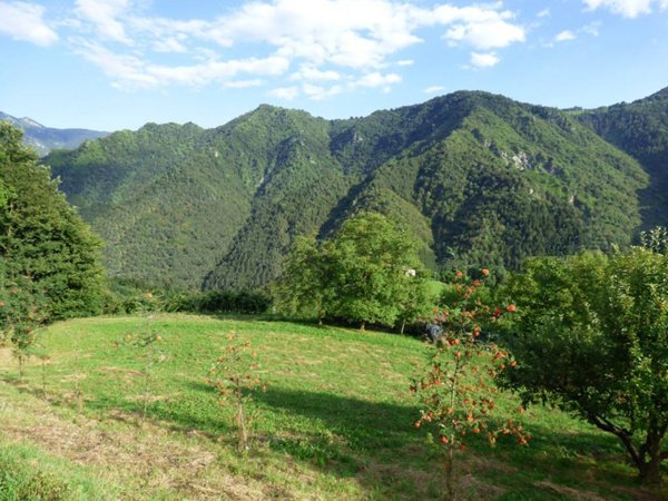 bifamiliare in vendita a Gorno