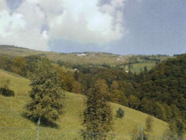 terreno agricolo in vendita a Gorno
