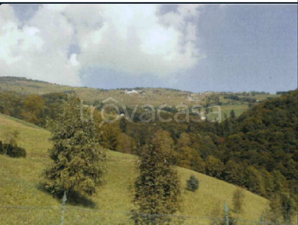 terreno agricolo in vendita a Gorno
