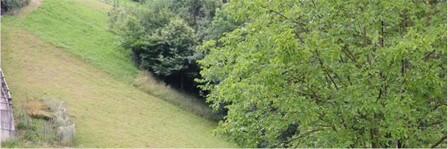 terreno edificabile in vendita a Gorno