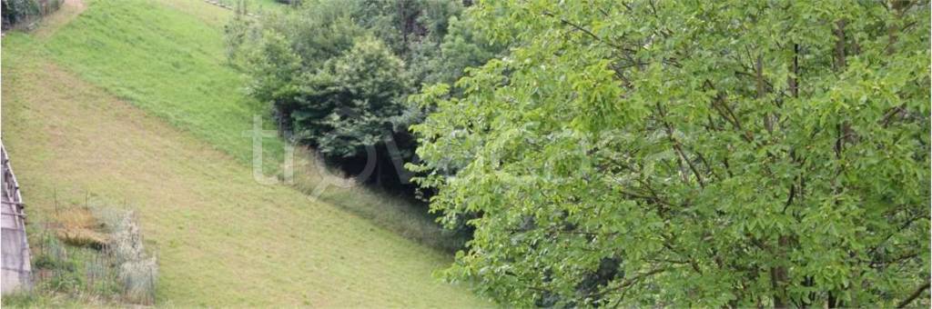 terreno agricolo in vendita a Gorno
