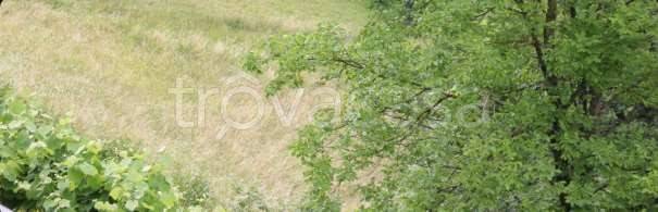 terreno agricolo in vendita a Gorno