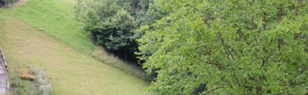 terreno agricolo in vendita a Gorno