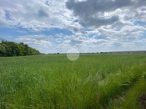 terreno agricolo in vendita a Grassobbio