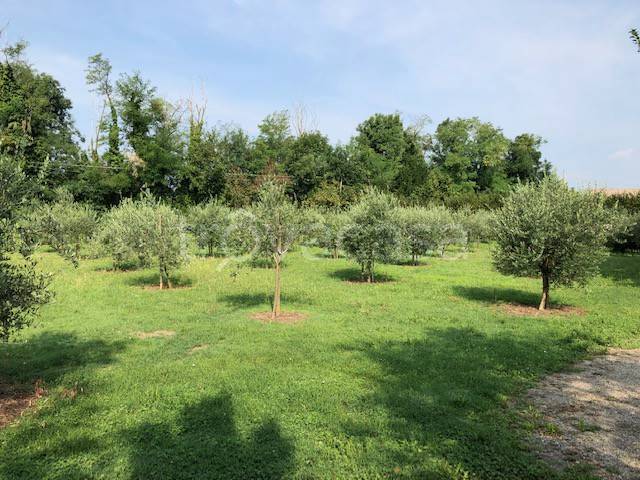 terreno edificabile in vendita a Grassobbio