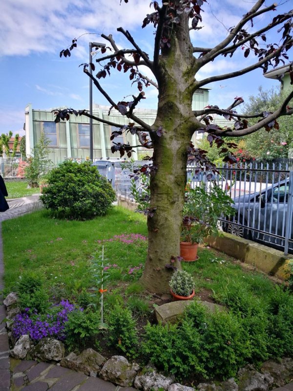 appartamento in vendita a Grassobbio