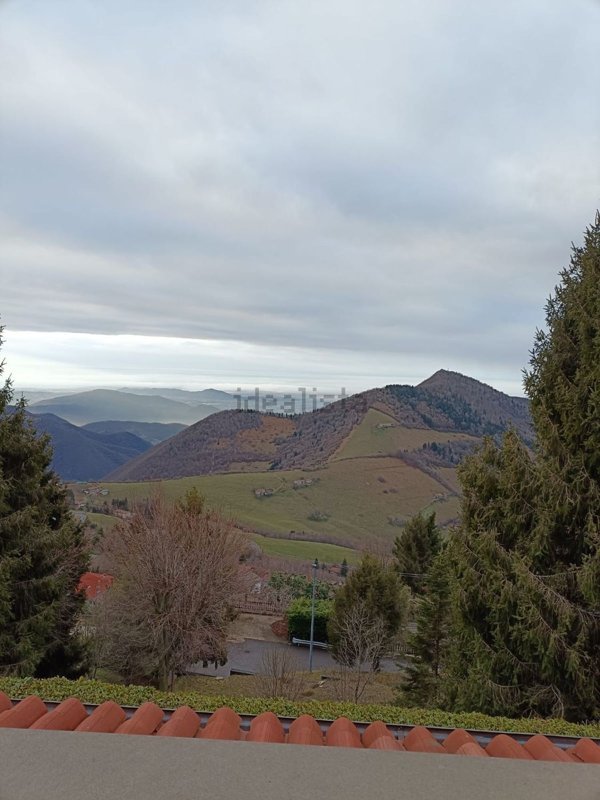 appartamento in vendita a Grone