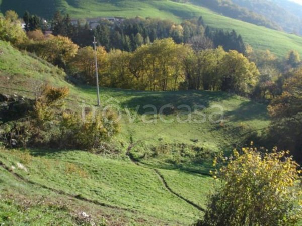 terreno edificabile in vendita a Grone