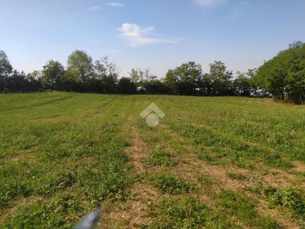 terreno agricolo in vendita a Grumello del Monte
