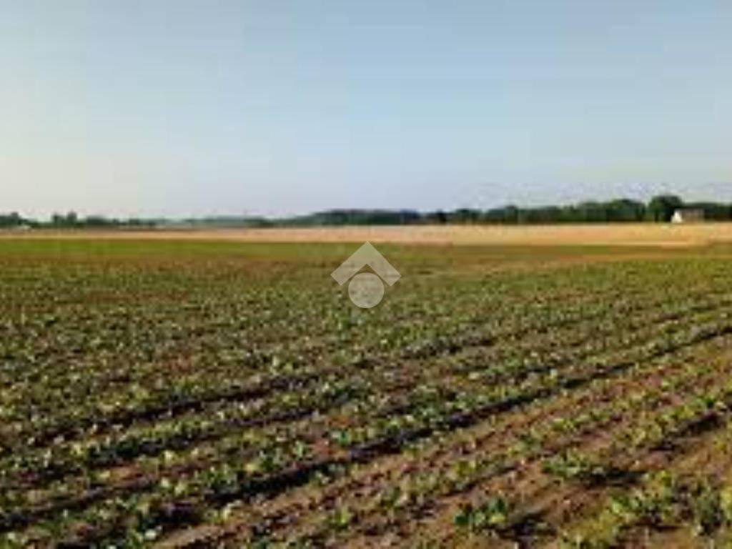 terreno agricolo in vendita a Grumello del Monte