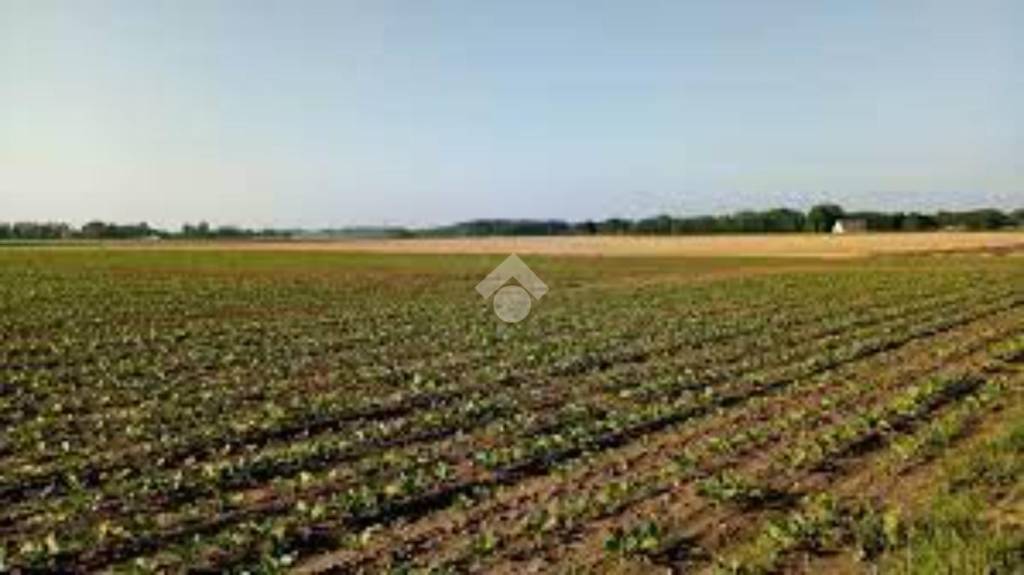terreno agricolo in vendita a Grumello del Monte