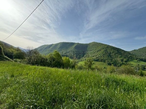terreno agricolo in vendita a Leffe