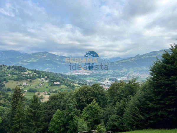 pentavano in vendita a Leffe