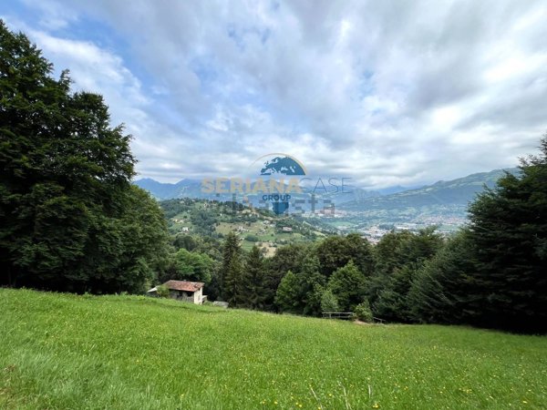 pentavano in vendita a Leffe