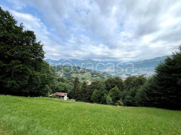 casa indipendente in vendita a Leffe