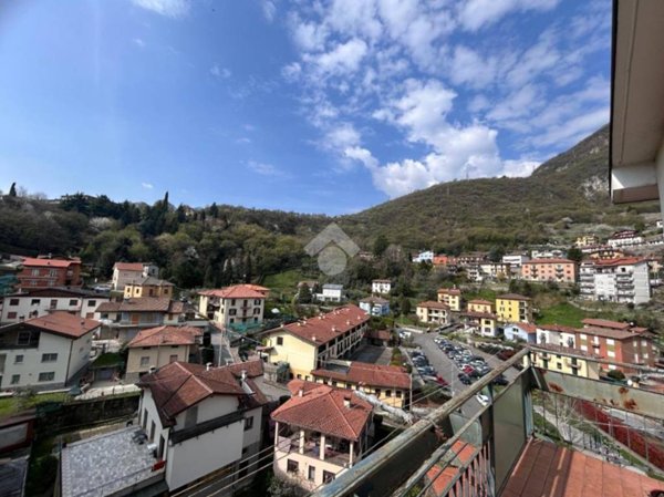 immagine annuncio 0 di 15