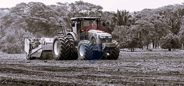 terreno agricolo in vendita a Lurano