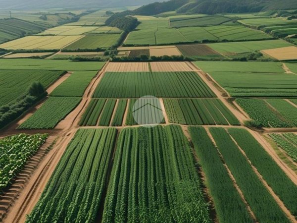 terreno agricolo in vendita a Lurano