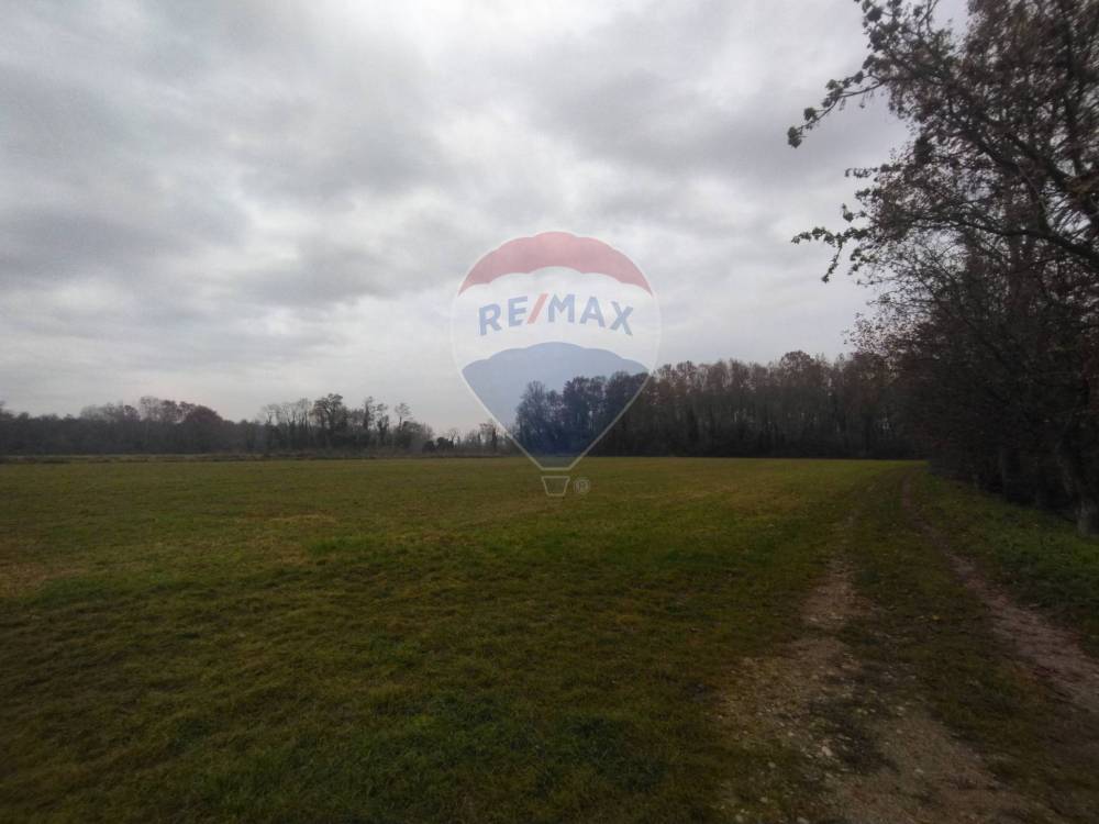 terreno agricolo in vendita a Lurano