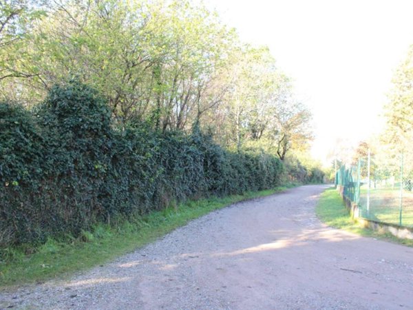 terreno agricolo in vendita a Madone