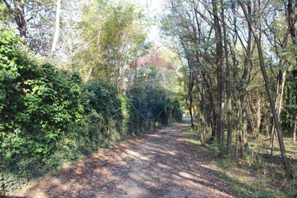 terreno agricolo in vendita a Madone
