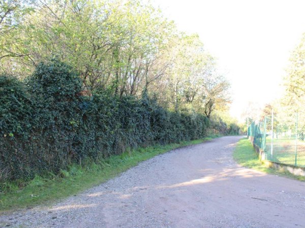 terreno agricolo in vendita a Madone