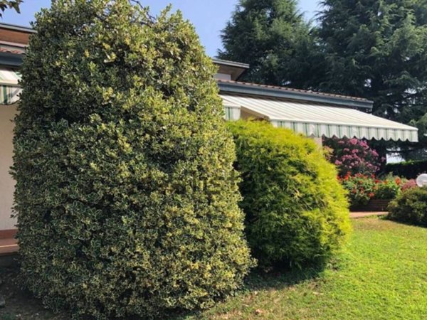 casa indipendente in vendita a Mapello