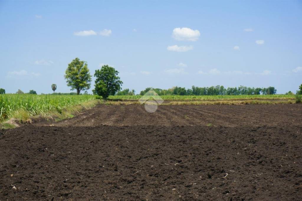 terreno agricolo in vendita a Martinengo