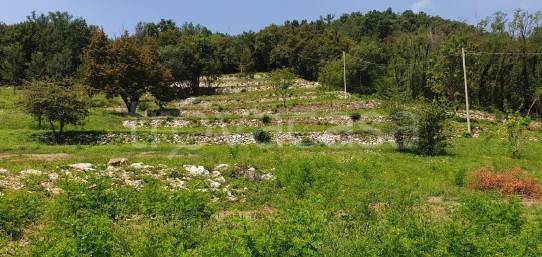 terreno agricolo in vendita a Montello