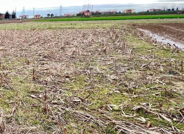 terreno agricolo in vendita a Mozzo