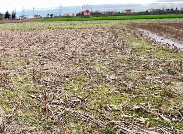 terreno agricolo in vendita a Mozzo
