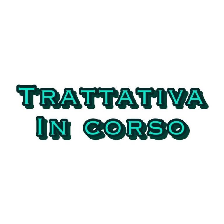 appartamento in vendita a Nembro