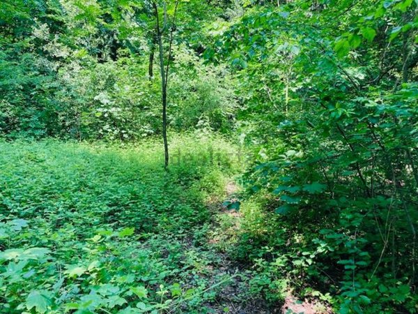 terreno edificabile in vendita a Nembro