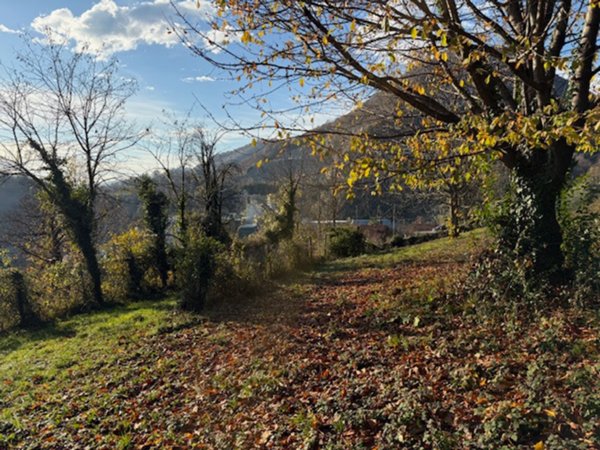 terreno agricolo in vendita a Nembro
