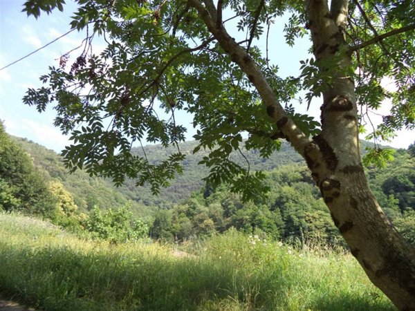 terreno edificabile in vendita a Nembro