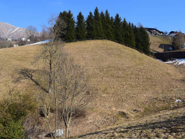 terreno agricolo in vendita ad Oltre il Colle