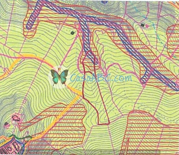 terreno agricolo in vendita ad Onore