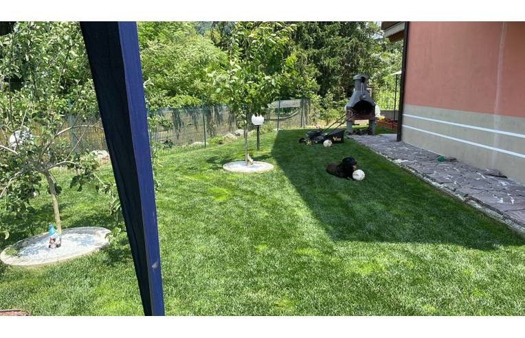 immagine annuncio 0 di 1