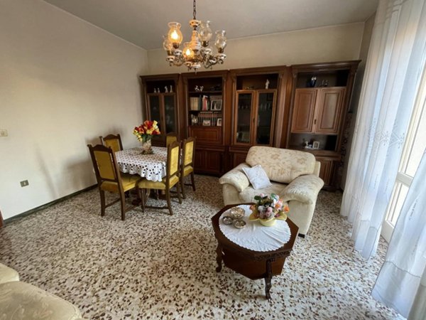 immagine annuncio 0 di 14
