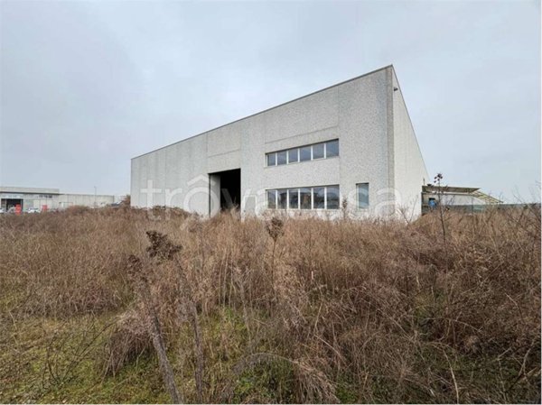 appartamento in vendita a Pagazzano