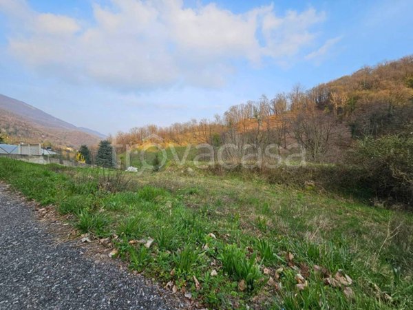 terreno agricolo in vendita a Palazzago